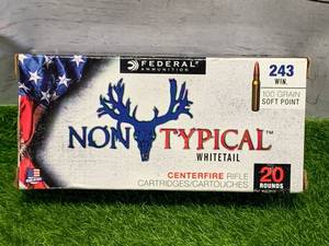 lot 75 image: 20 Rounds 243 WIN Ammo