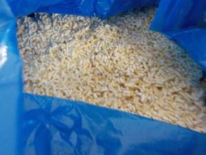20 lb. Box Frozen Garden Harvest Br...