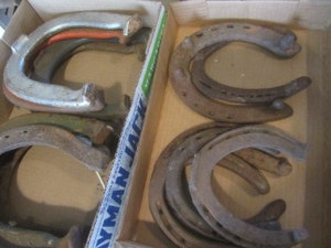 lot 442 image: Horse Shoes