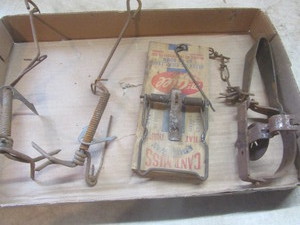 lot 535 image: Traps