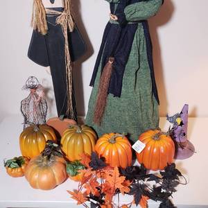 lot 105 image: Witches Pumpkin Patch
