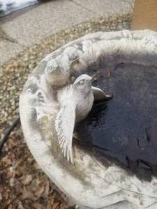 lot 7 image: Fantastic Bird Bath