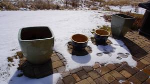 lot 6 image: 4 Outdoor Ceramic Planters