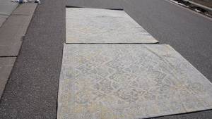 lot 33 image: 2 Safavieh Evoke Carpets