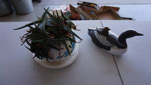 lot 105 image: Ceramic Loon  Potted Aloe Vera Plant with Pot