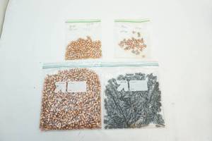 lot 44 image: Reload bullets