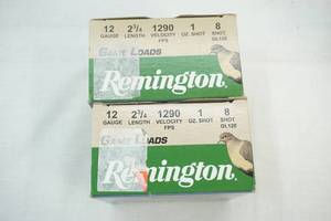 lot 19 image: Remington ammo