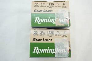 lot 21 image: Remington ammo