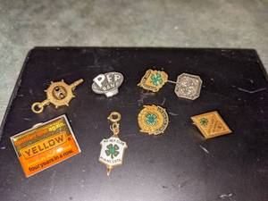 lot 139 image: Vintage 4H Pins