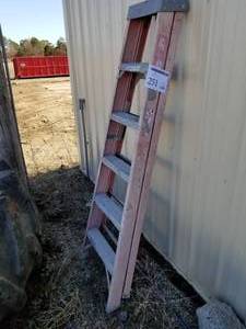 lot 251 image: Step Ladder 6H