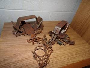 Pair of traps