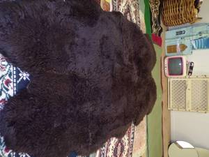 Sheep skin rug