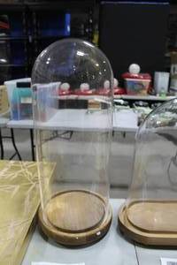lot 72 image: Clear Glass Cloche with Wood Base 10Dx23H