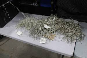 lot 283 image: Lot of (4) Fairy Light String Set S-198-12F,24V (in bin)