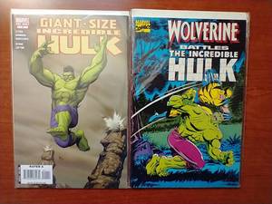 lot 104 image: 2 Cool Hulk One-Shot Comics