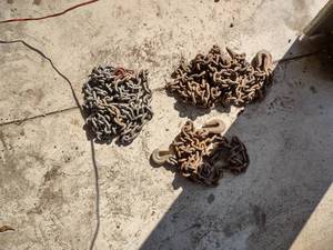 lot 100 image: (3) Log Chains...