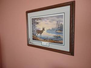 lot 504 image: Wildlife Print...
