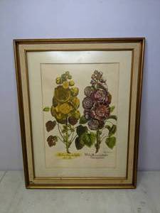 lot 406 image: Framed Vintage Botanical Print Malua Rosea Multiplex Flora