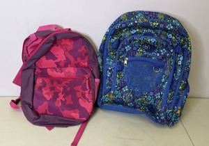 lot 576 image: Two Colorful Backpacks