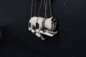lot 16 image: PUPPET CAT