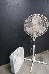 lot 109 image: FANS