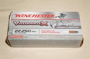 20 Winchester Varmint X .22-250 Rem 55 Gr Polymer Tip Ammo