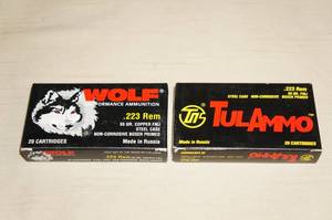 40 Rounds .223 Rem 55 Gr FMJ Steel Case Ammo