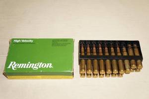 14 Remington .30-06 Sprg 180 Gr Core-Lokt Pointed SP Ammo