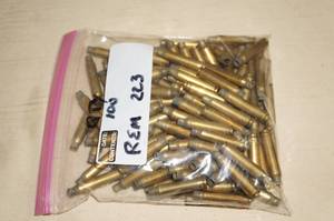 100 .223 Rem Empty Casings