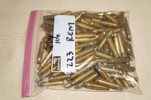 100 .223 Rem Empty Casings