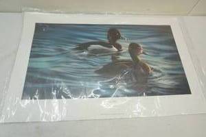 lot 76 image: Duck print