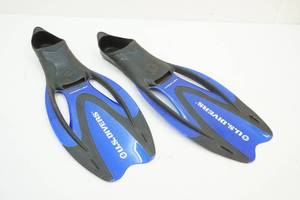 lot 221 image: Divers flippers