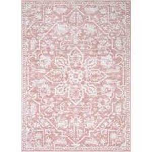 Dazzle Disa Blush Vintage Distressed Medallion Oriental 5 ft. 3 in. x 7 ft. 3 in. Area Rug by Well Woven- not used - SEE PICTURES