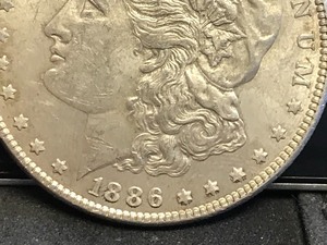 1886 P Morgan Dollar
