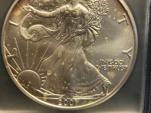 2001 1oz Liberty Silver Coin MS69