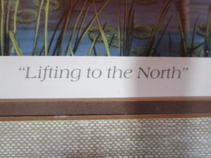 lot 4 image: Ken Zylla Lifting To The North NAGB 1997 Stamp Print 21x24