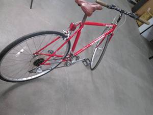 Adult size Raleigh Technium 400 Mai...