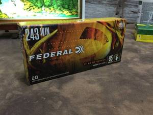 lot 113 image: Federal 243 Win Ammo 20 Cartridges