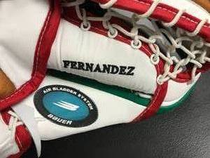 manny hernandez embroidered Goalie Glove