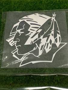 Fighting Sioux 6� X 6� Decal�