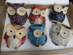 6 owl succulent planters...