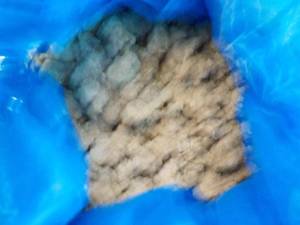 40 lb. box frozen cooked pork sausa...