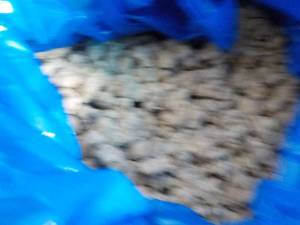 40 lb. box frozen cooked pork sausa...
