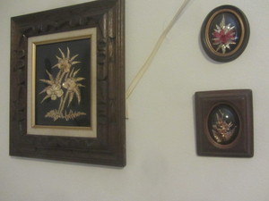 lot 18 image: Gold Dipped Hawaiian Flowers