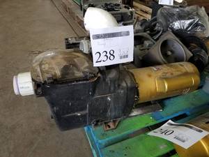 lot 238 image: Hayward Super Pump Self Priming NSF Chlorine Pump SP2615X20 (on pallet)