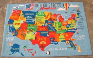 lot 459 image: Smithsonian 72 in X 48 in Education Rug United States of America Pattern