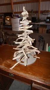 Small Homemade Tree Made of Branches