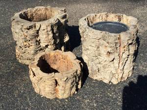 lot 107 image: 3 Tree Bark Planters