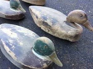 lot 132 image: Amazing Lot of 7 Vintage Duck Decoys