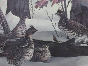 lot 183 image: Kevin T Daniel Grouse Framed Art